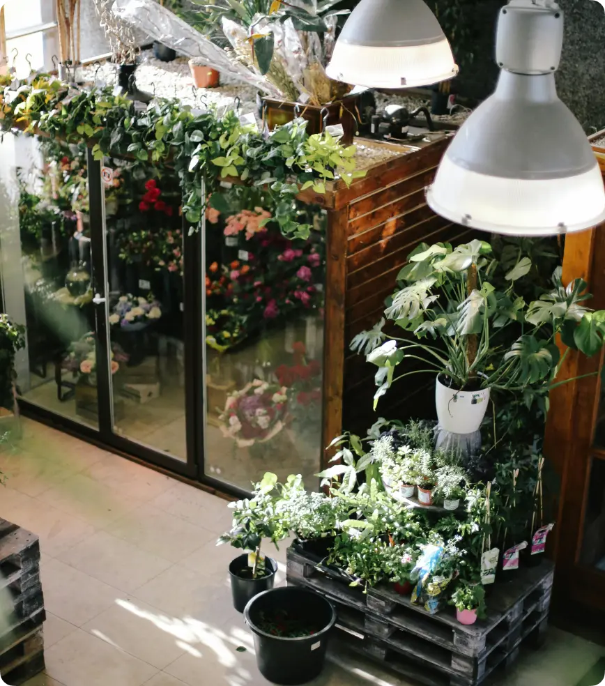 A cozy flower shop with plants and greenery on display.