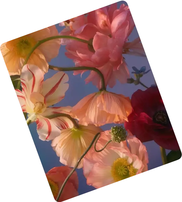 A flatlay photographic collage of various pink, red, and yellow flowers against a soft blue background.