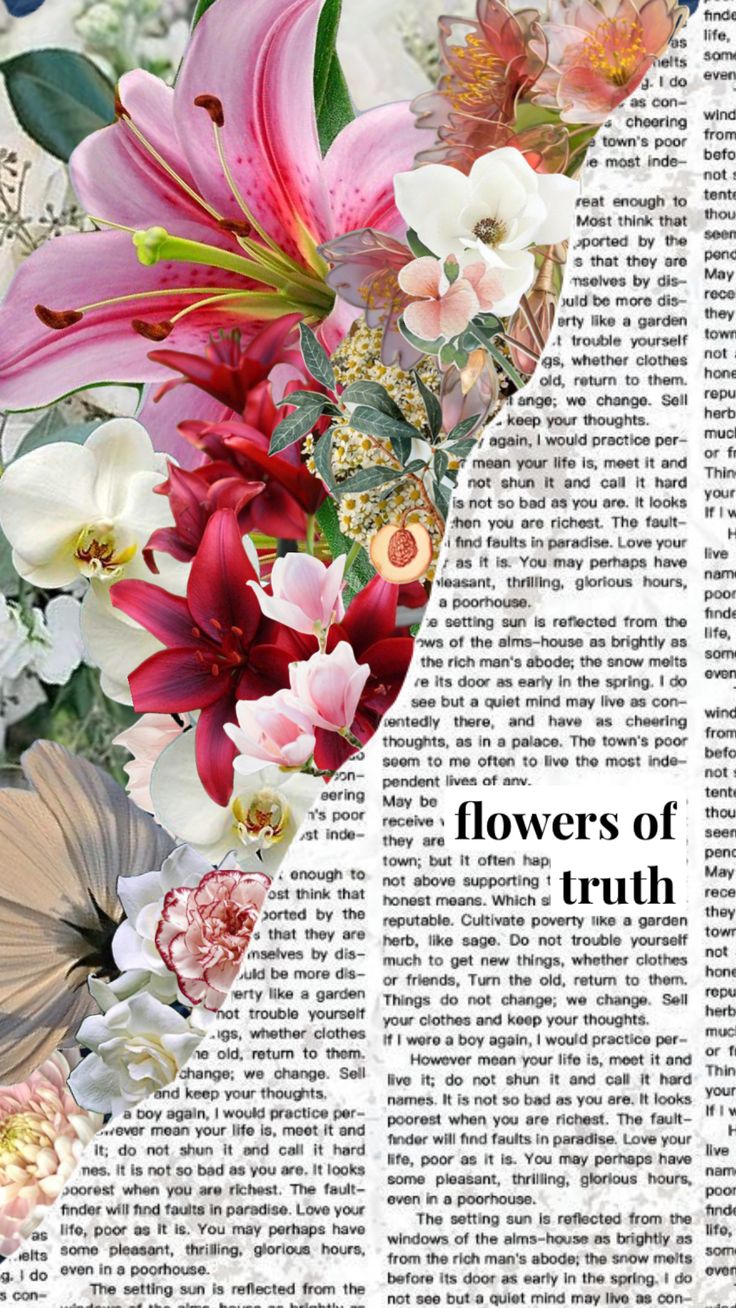 Editorial collage of lilies, orchids and roses over vintage newsprint, captioned flowers of truth